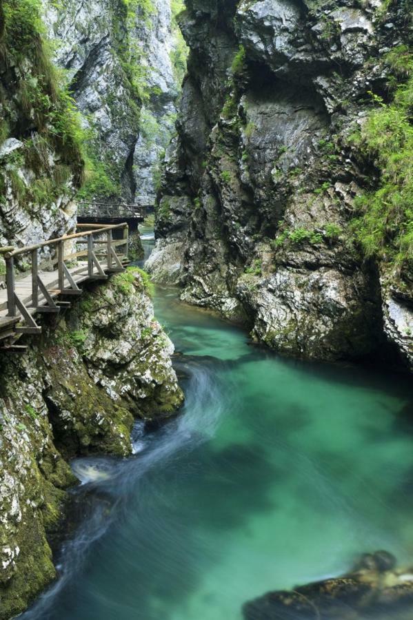 Apartma Dominik Zgornje Gorje Luaran gambar